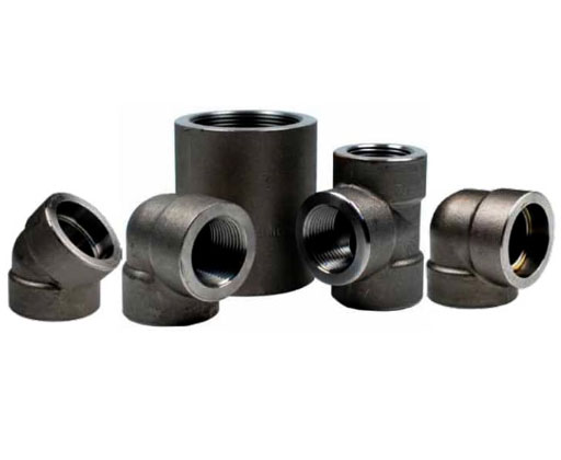 Carbon Steel Forged Fittings in Thailand