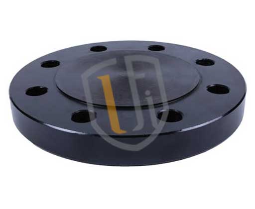 ANSI B16.5 Blind Flanges
