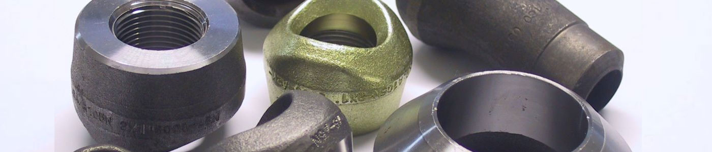 Welded Outlet Forged Fittings